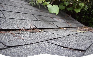 shingle roof services in california - royal roofing