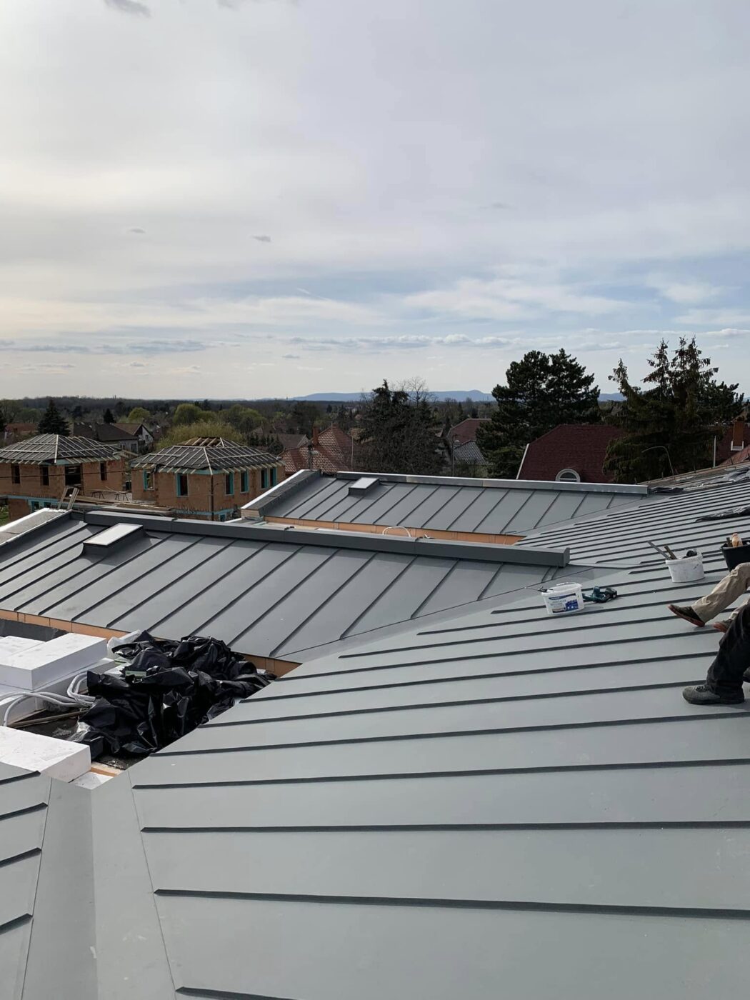 A Mid-Century Dream Meets Modern Protection