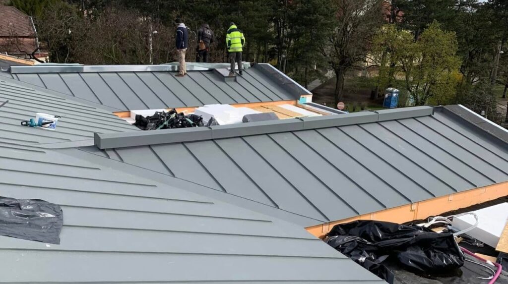 Metal Roof Installation in Palm Park, CA