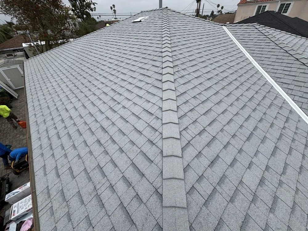 Shingle Roof