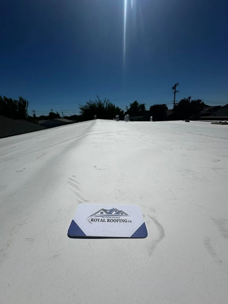 TPO Membrane Roof Repair Services