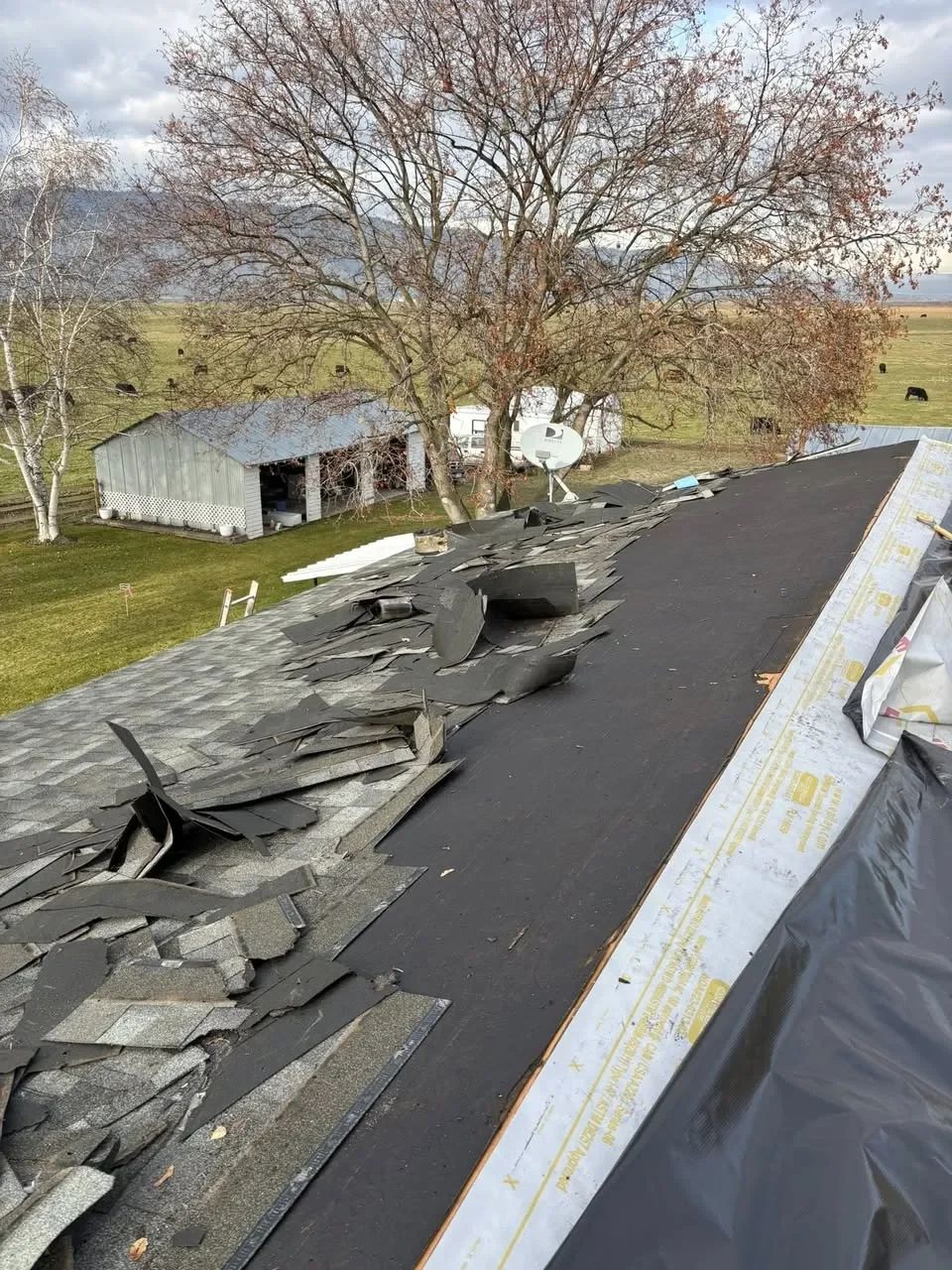 Complete Storm Damage Restoration Brings Cambrian Park Home Back to Life