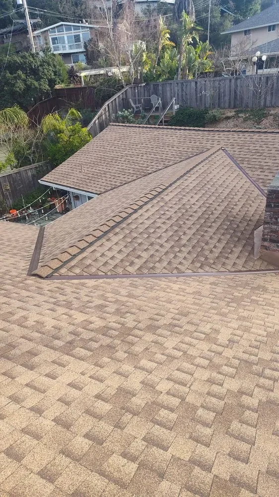 Building Dreams from the Ground Up (and Roof Down)